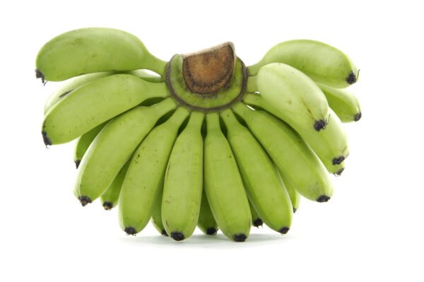 MATOKKE