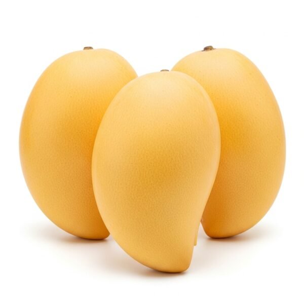 MANGO Pakistansk STOR KASSA LUX